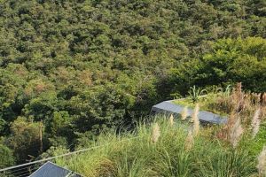 WhatsApp Image 2025 03 05 At 15.13.49